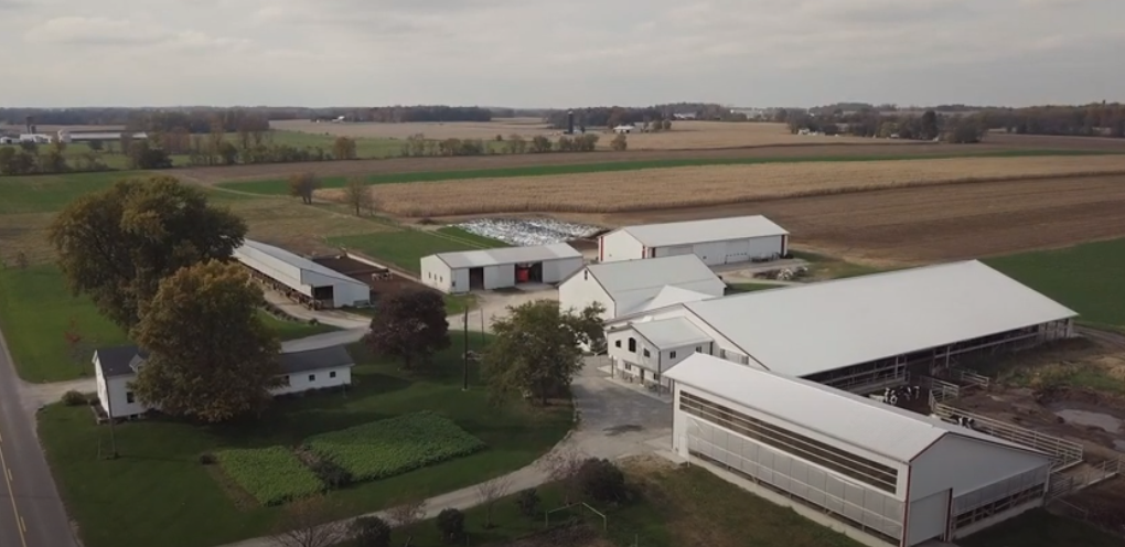 Darita Holsteins