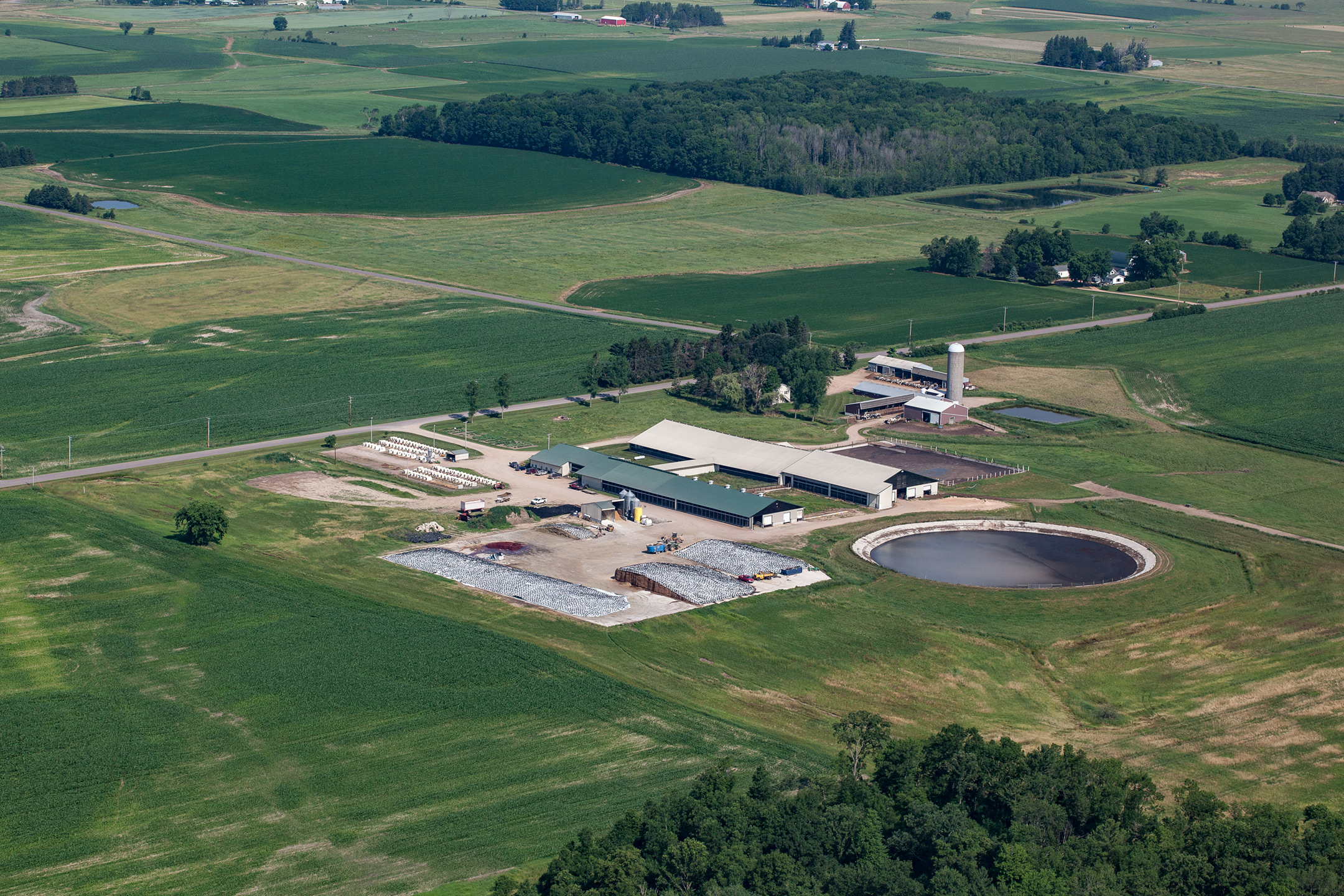Grass Ridge Farm Foremost Farms