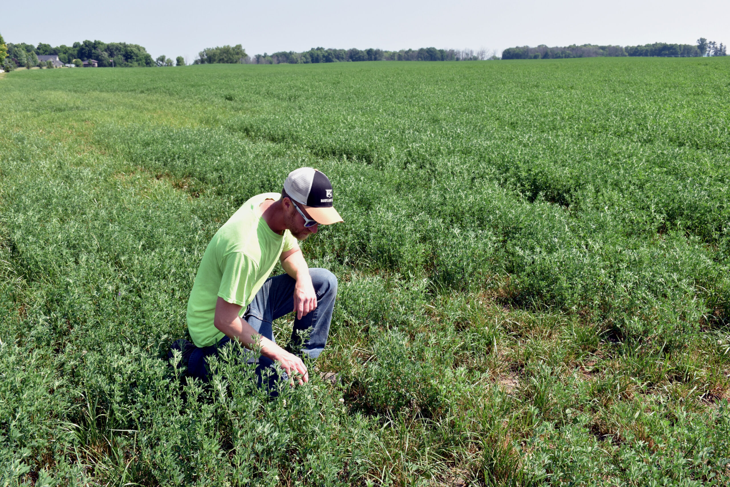 Dallman East River Dairy Foremost Farms