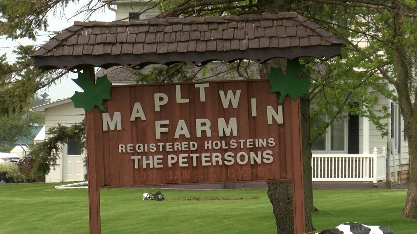Mapltwin Farm Foremost Farms