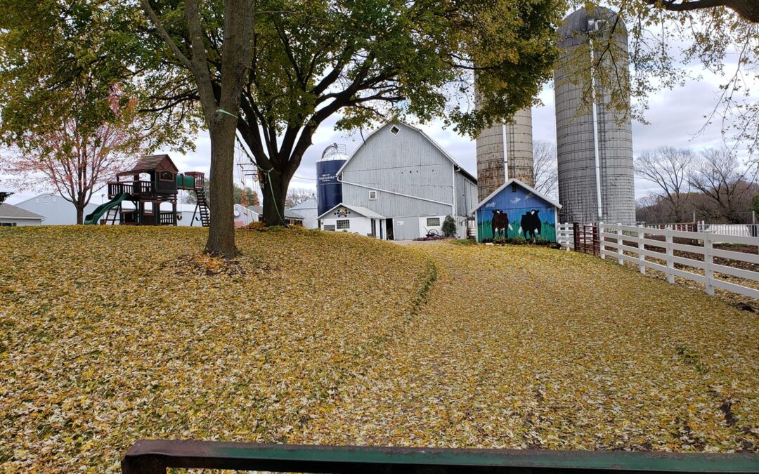 Mapleton Valley Farms