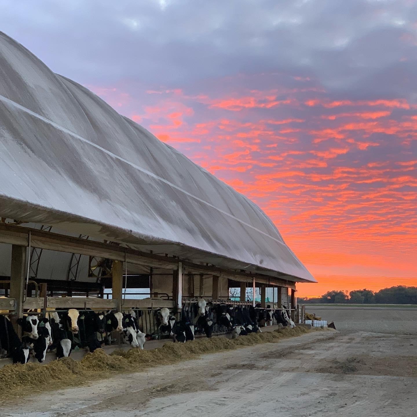 Sunset at Kleine Dairy Farm