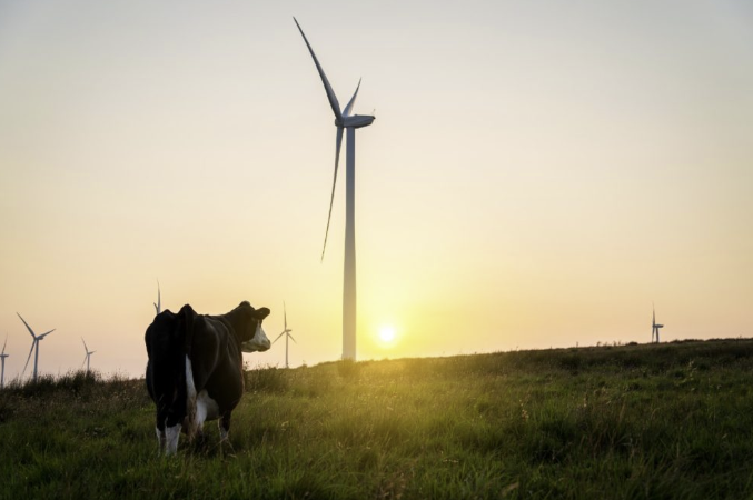 Processors focus on creating value for stakeholders