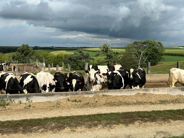 Brueggen Dairy Farm