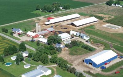 Shuler Dairy Farms
