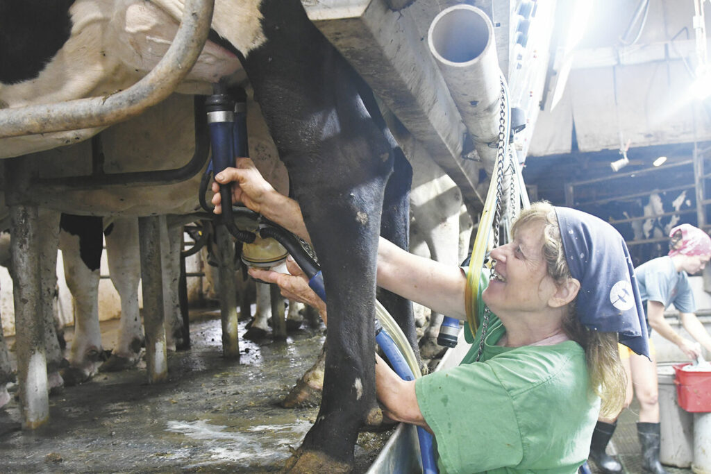 Patty Elsbernd milking cow