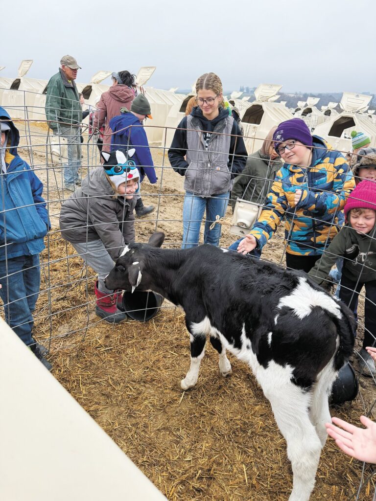 kids with the calves