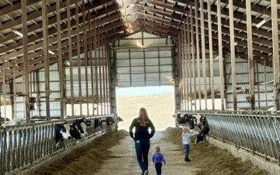 Libertyland Farms & Sunnyside Farms